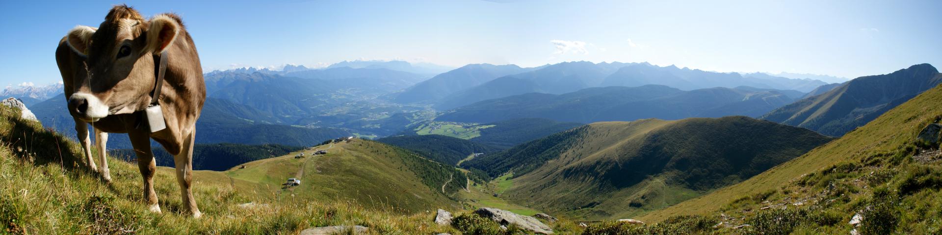 panorama_gitschberg.jpg