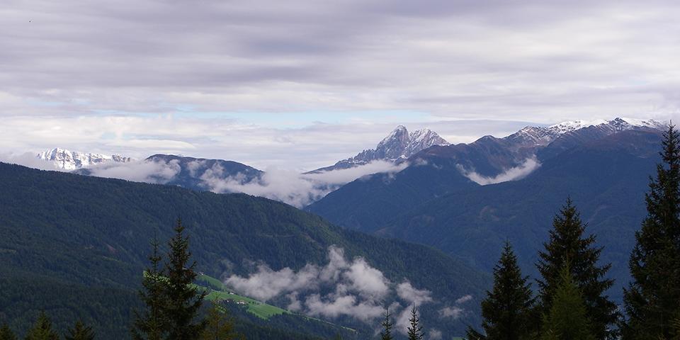 imgp0328.jpg