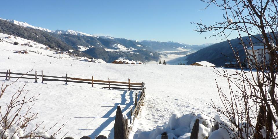 winter_1.jpg