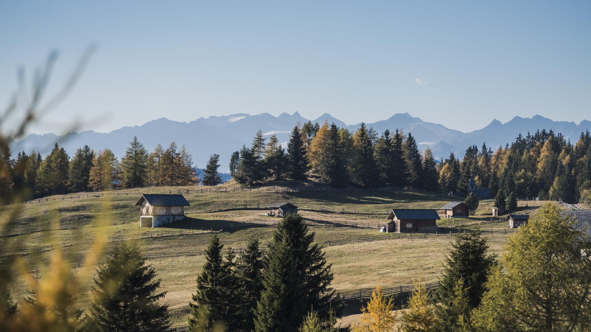 wisthaler.com_18_10_idm_almwanderungen_ha2_5637.jpg