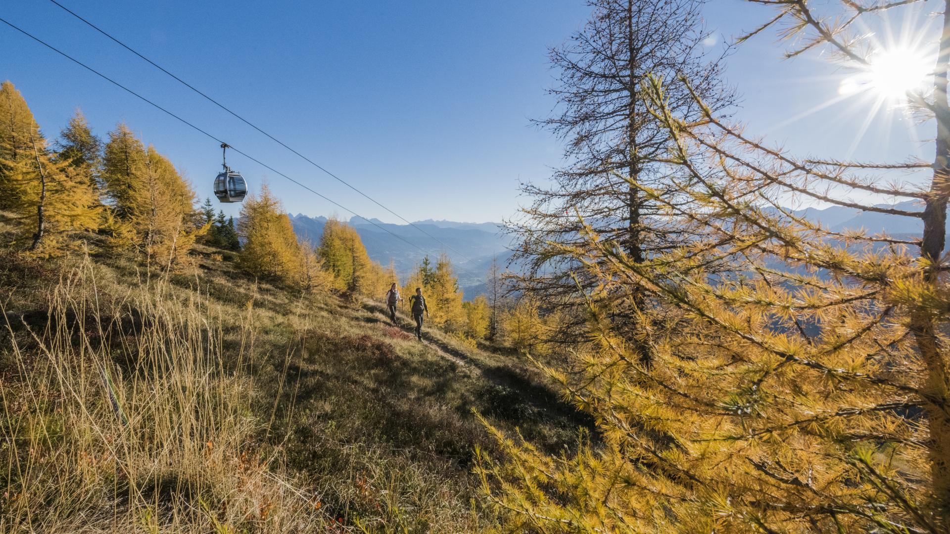 wisthaler.com_18_10_idm_almwanderungen_haw_8846.jpg